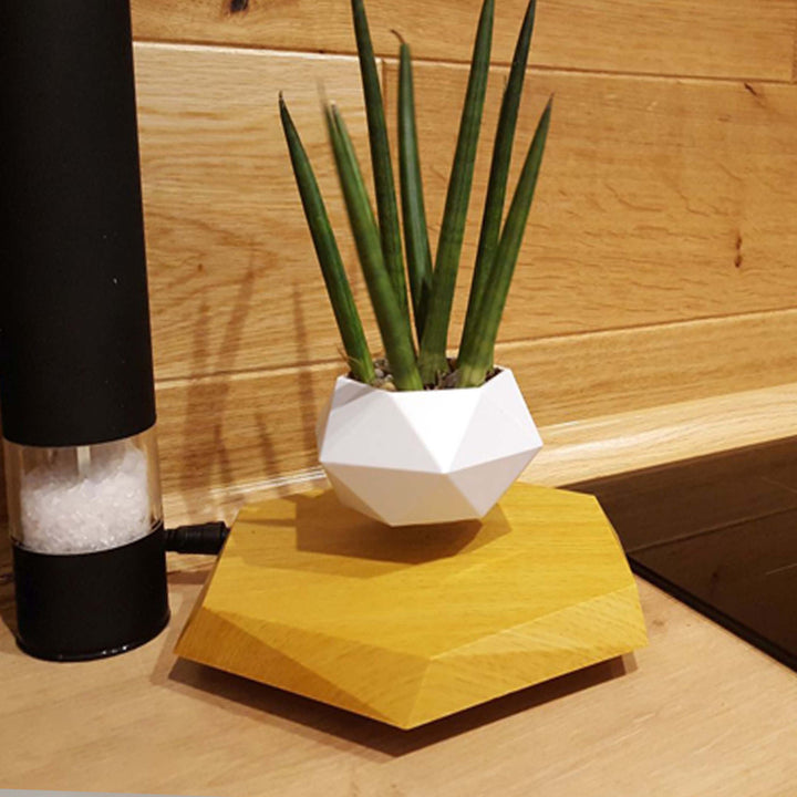 Floating Magnetic Levitating Flower Pot Air Plant - Designrific