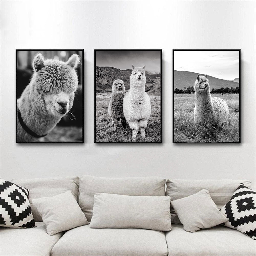 Black And White Animal Poster Camel Canvas Print Modern Mural Art Living Room Home Decor